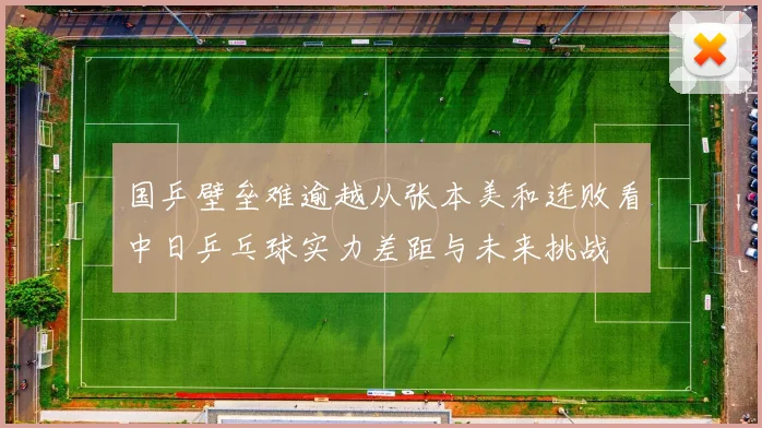 国乒壁垒难逾越从张本美和连败看中日乒乓球实力差距与未来挑战